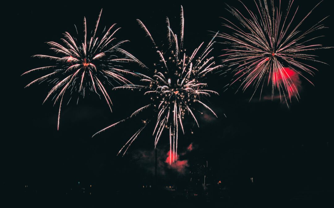 4th of July Pet Safety Tips: How to Keep Your Furry Friends Calm During Fireworks